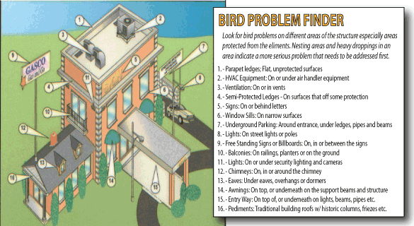 places where pest birds and pigeons nest or roost on a structure